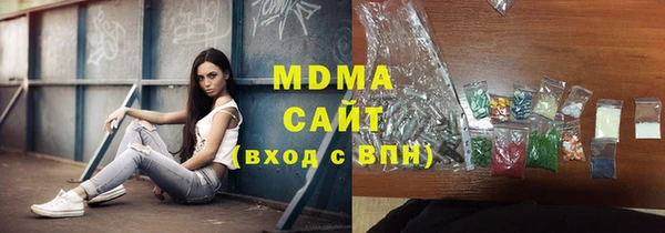 сатива Новозыбков