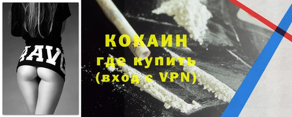 сатива Новозыбков