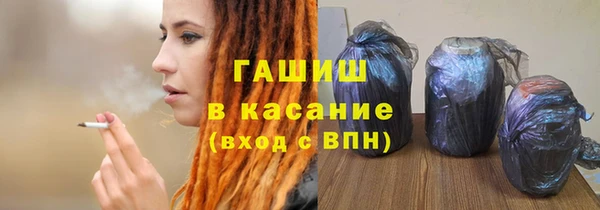 сатива Новозыбков
