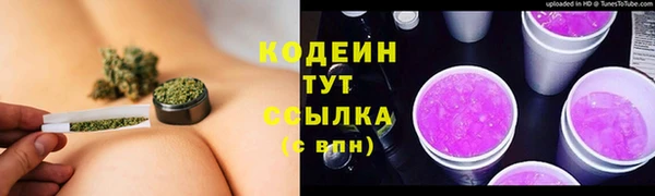 сатива Новозыбков