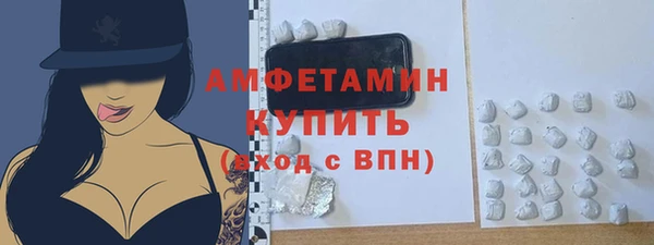 сатива Новозыбков