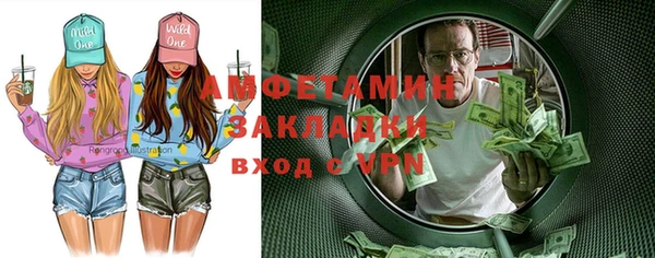 сатива Новозыбков