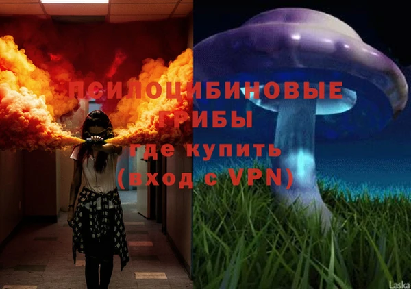 тгк Новодвинск