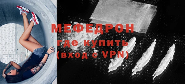 сатива Новозыбков