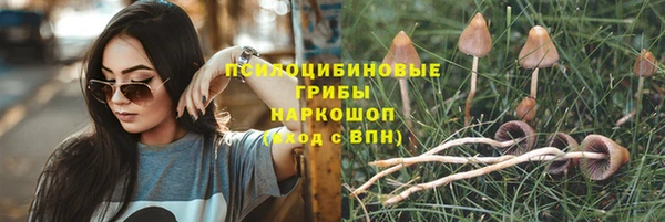 тгк Новодвинск