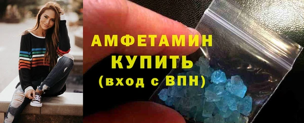 сатива Новозыбков