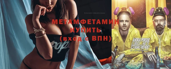 сатива Новозыбков