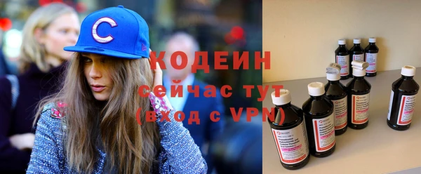 сатива Новозыбков