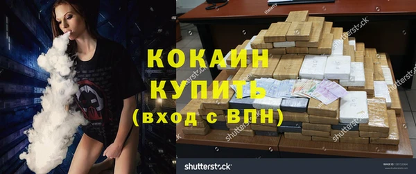 тгк Новодвинск