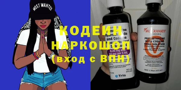 сатива Новозыбков