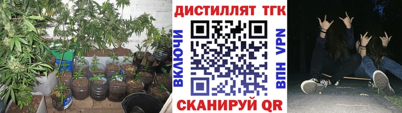 как найти закладки  MEGA как войти  Дистиллят ТГК вейп с тгк  Пролетарск 